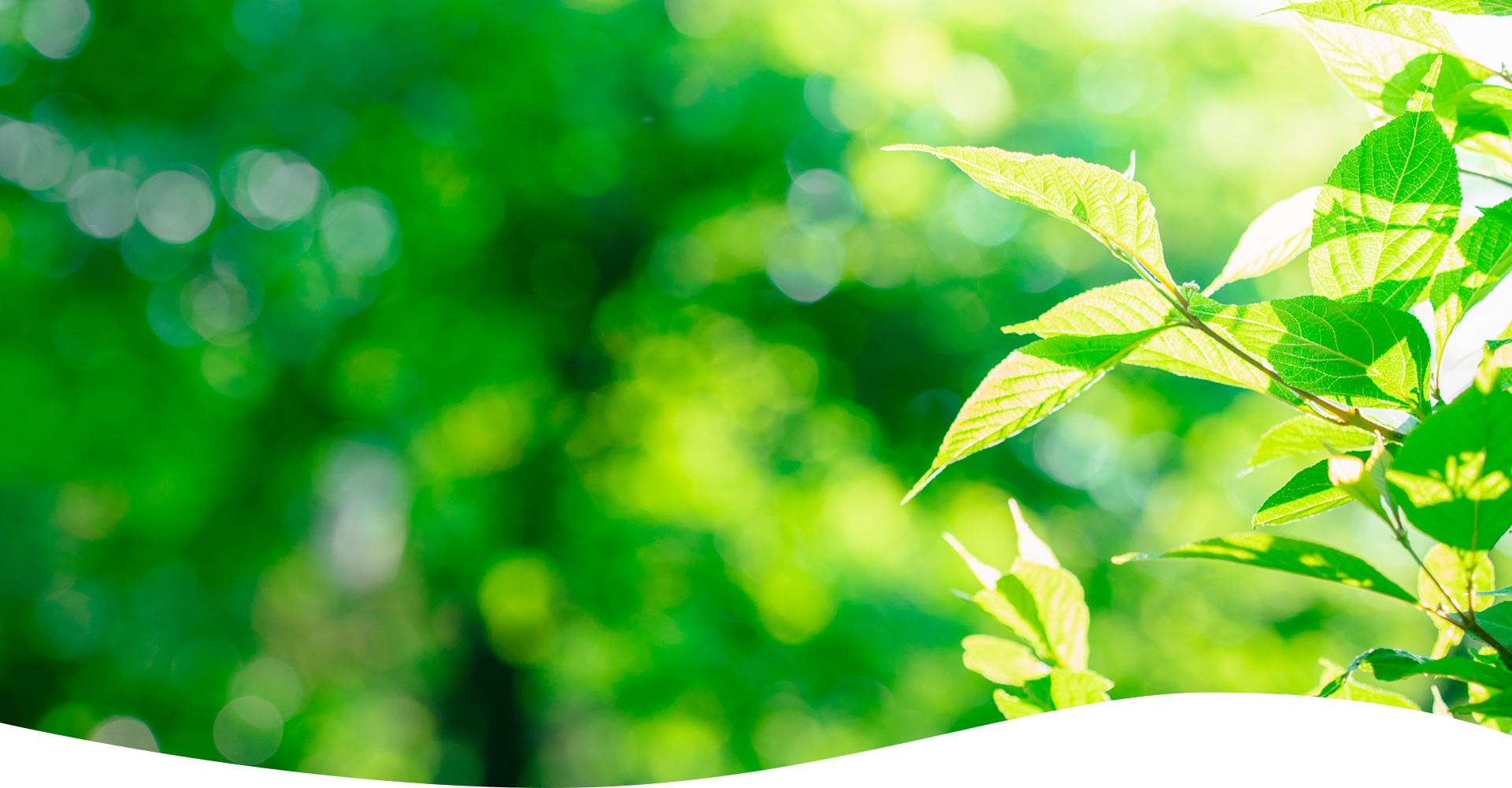 大森西メンタルクリニック